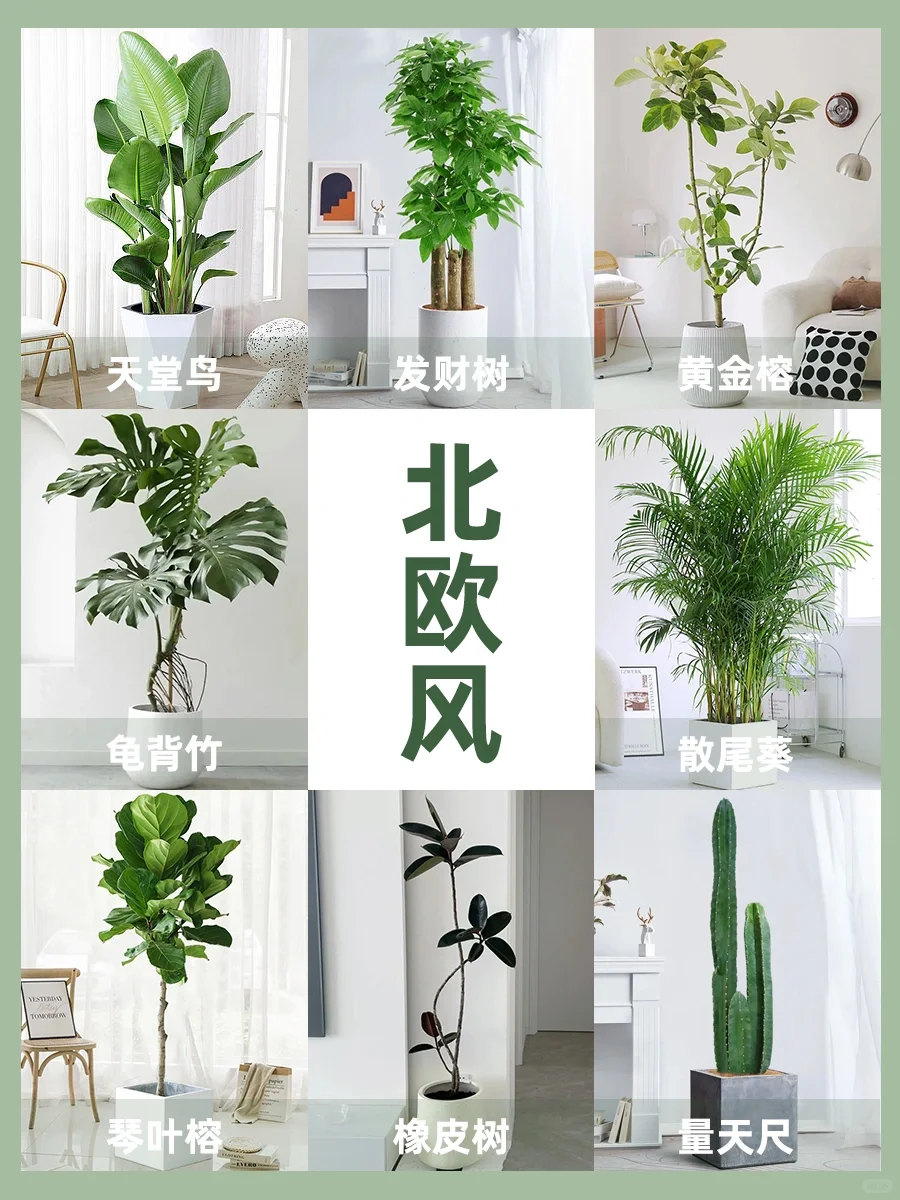 http://public.shejidedao.com/469d70a149fa4715871b28483952958f.png