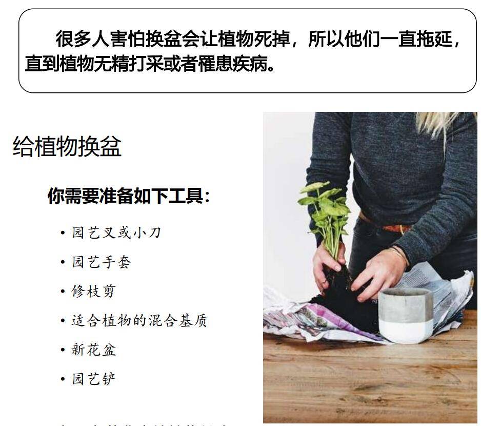 http://public.shejidedao.com/866b2ab5d3a7492a9b8f81829ce2d353.jpg