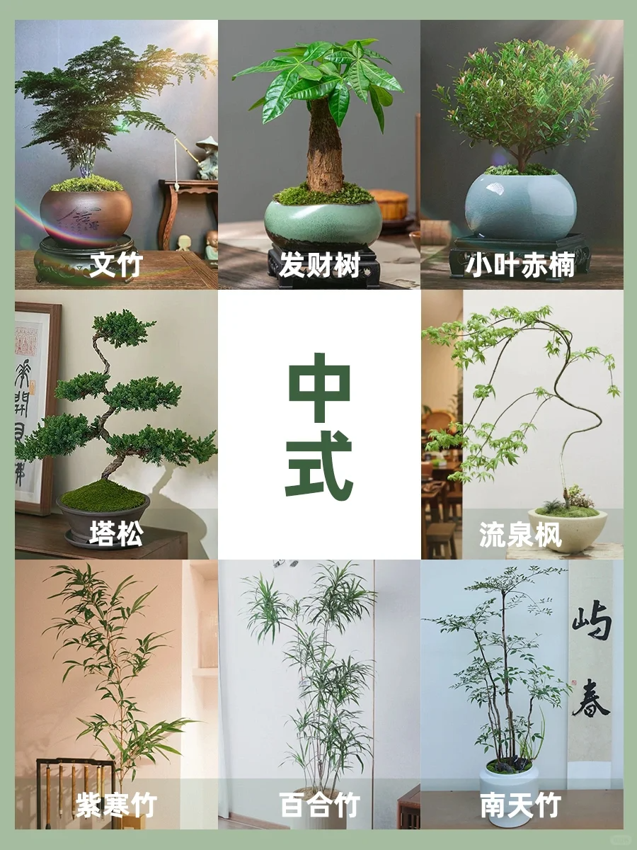 http://public.shejidedao.com/86cf222b1c18432dac644a3846560d07.png
