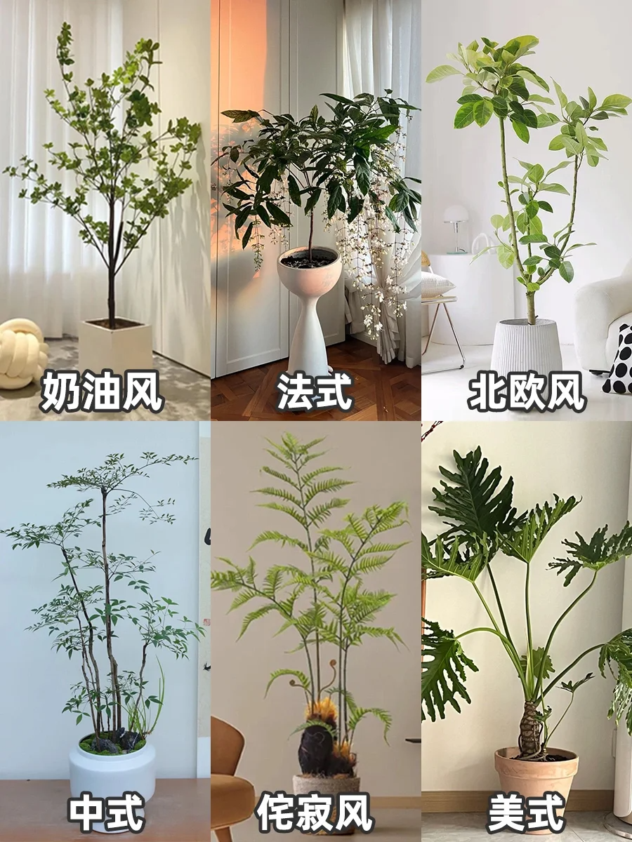 http://public.shejidedao.com/a2c96f5ac408442594864165ee7f7e4f.png