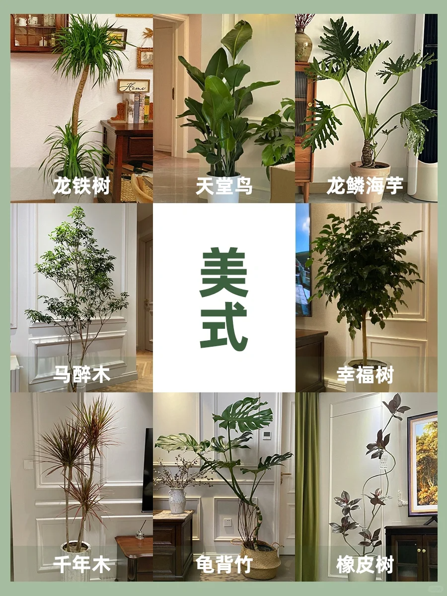 http://public.shejidedao.com/ae7305fe691349ca8696459e0d9fbef3.png