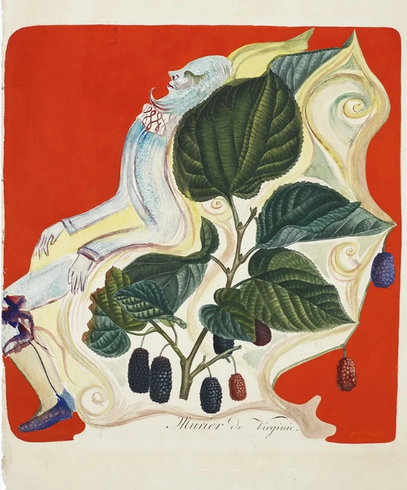 http://public.shejidedao.com/b5e43d197669400dba4cb29915a01c4a.png