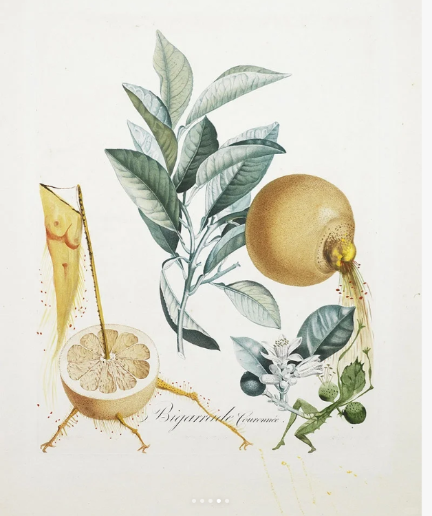 http://public.shejidedao.com/d229b3e5efa04c69b553cdfd49d22a72.png