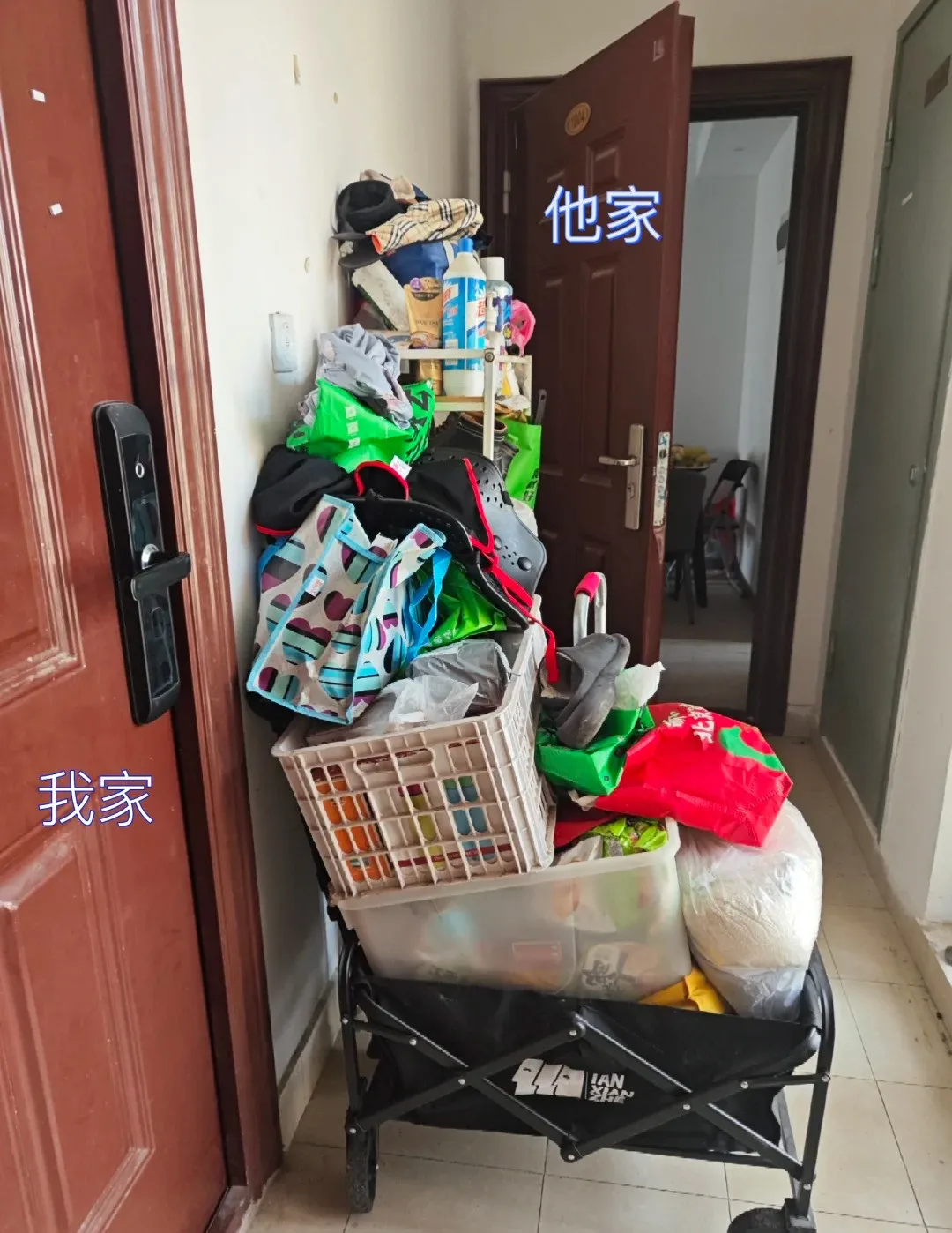 新闻配图 4
