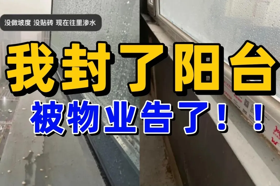 新闻配图 2