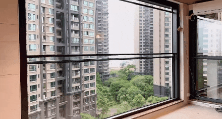新闻配图 4