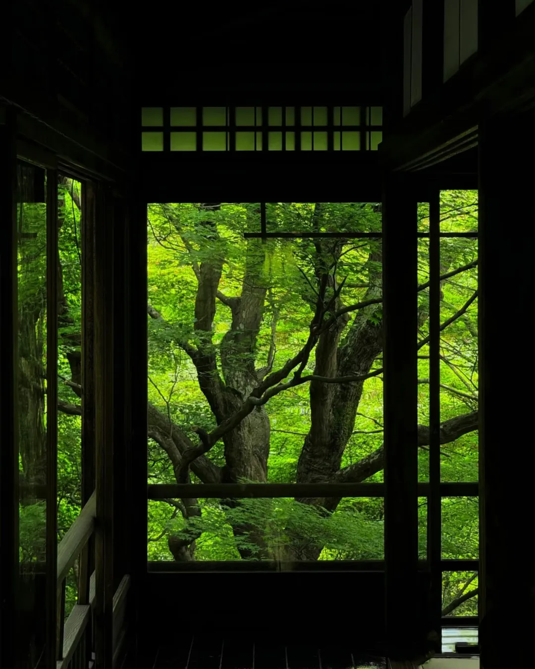 主要图片