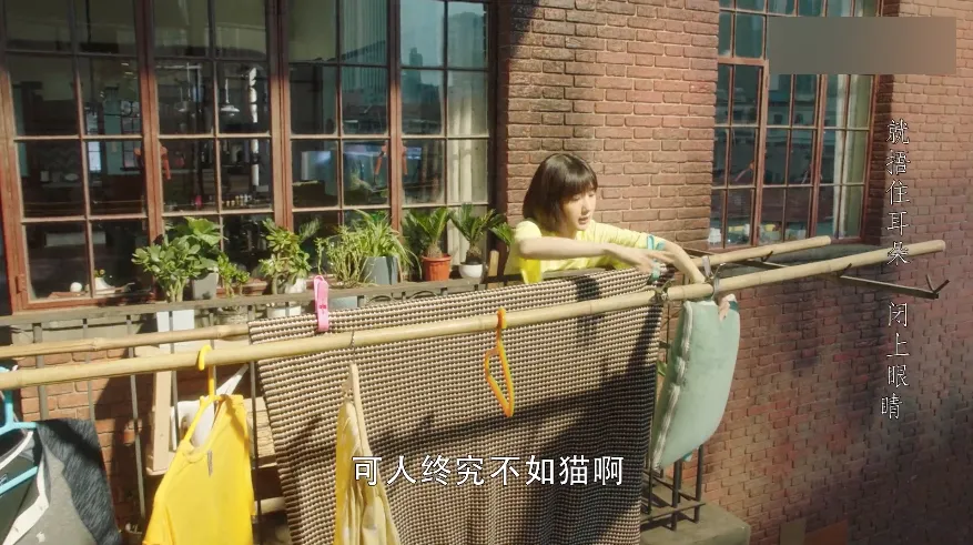 新闻配图 1