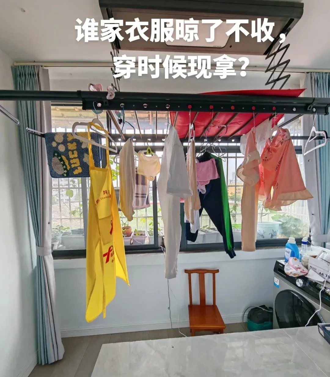 新闻配图 2