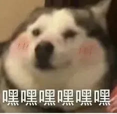 新闻配图 4