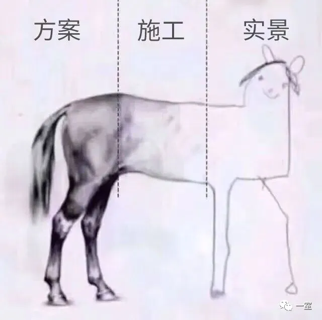 新闻配图 3