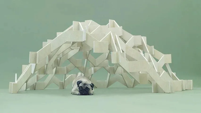 新闻配图 2