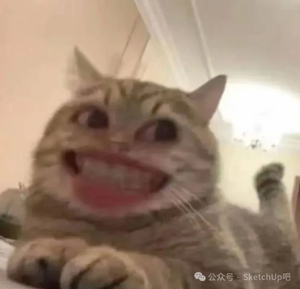 新闻配图 4