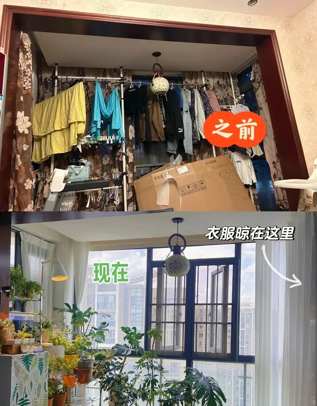 新闻配图 3
