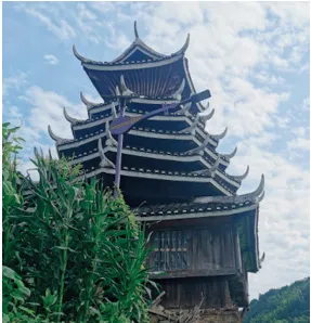 新闻配图 2