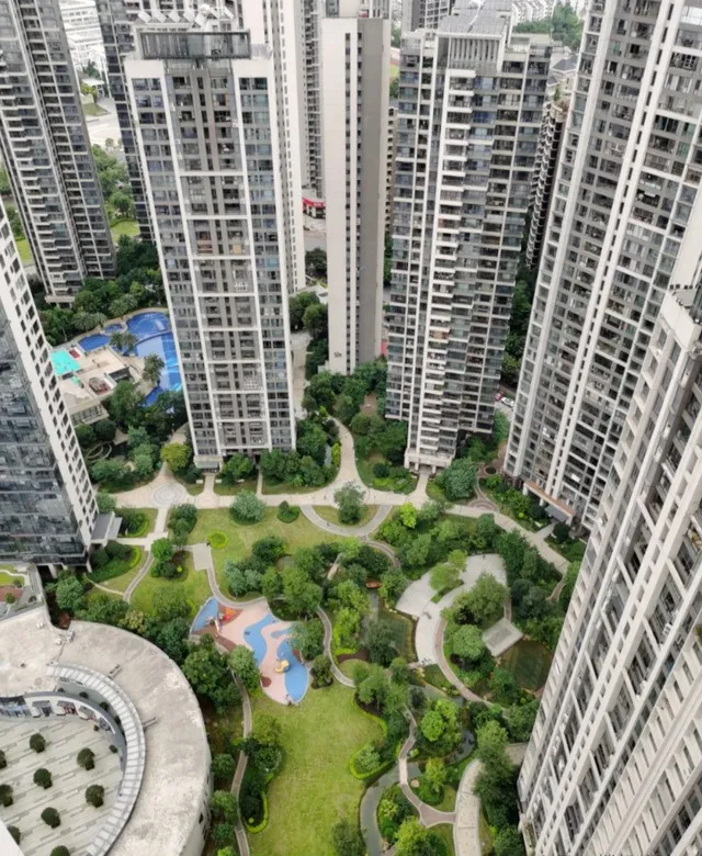 新闻配图 2
