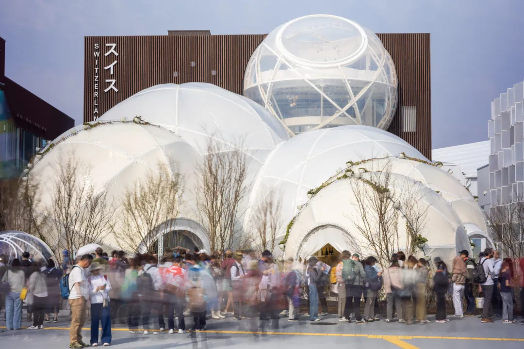 新闻配图 1
