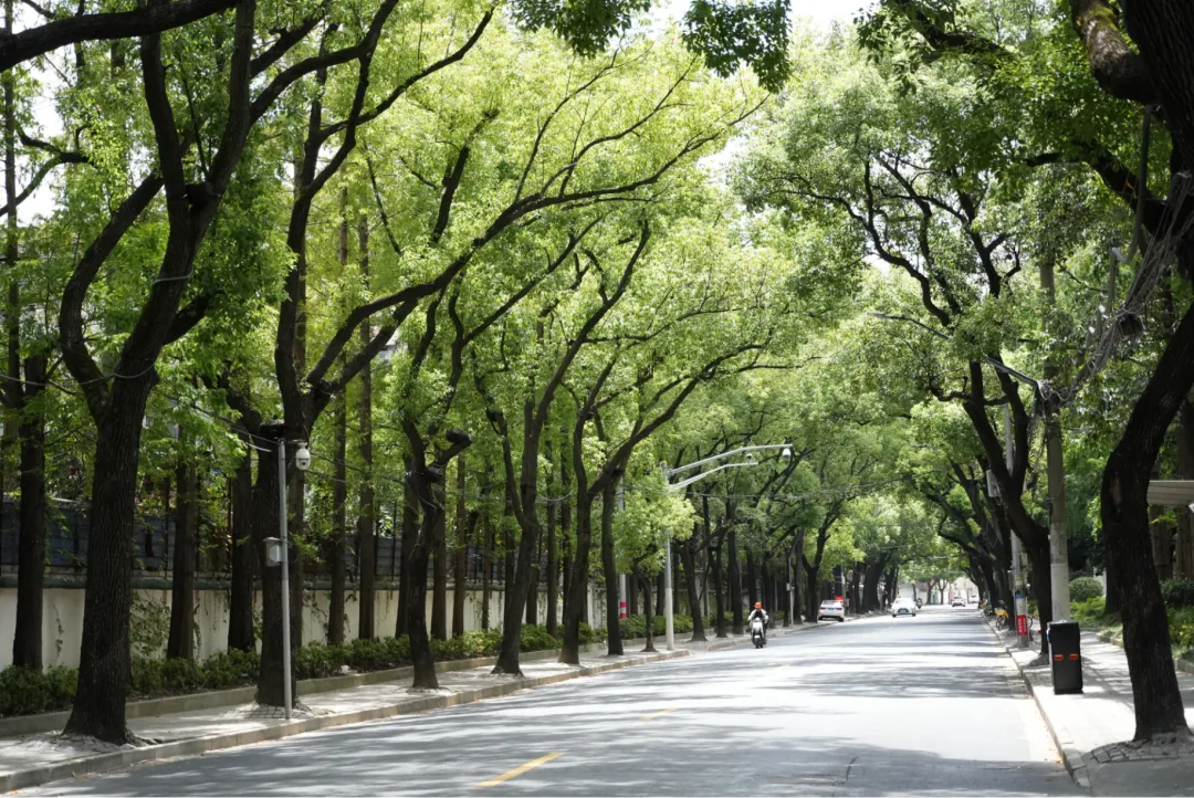 上海复兴岛！时光停滞工业秘境靠二次元科技活了 - 图片 12
