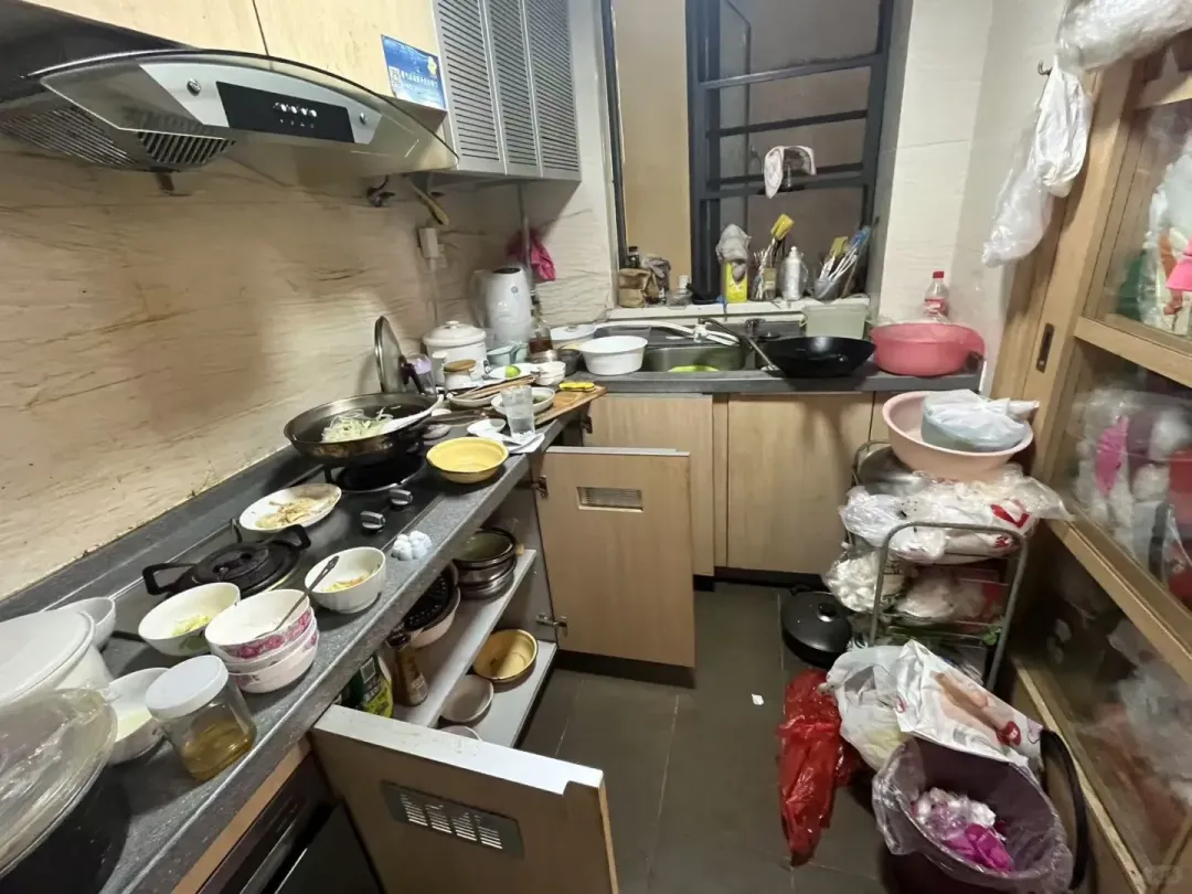 新闻配图 2