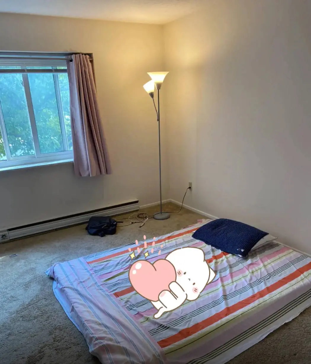 新闻配图 4