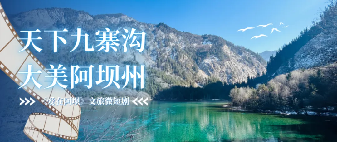 新闻配图 3