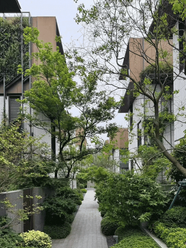 限高16米咋做办公居住复合空间？孟凡浩杭州西溪印解 - 图片 19