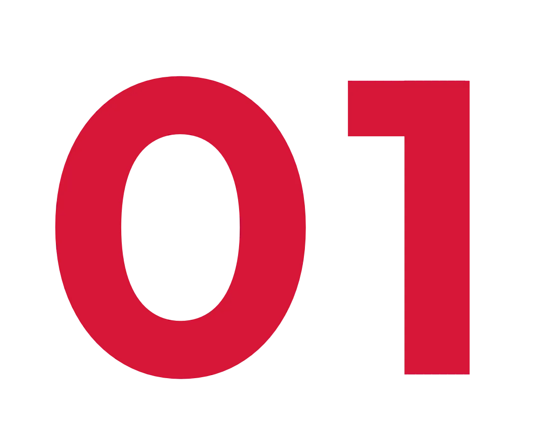 新闻配图 2