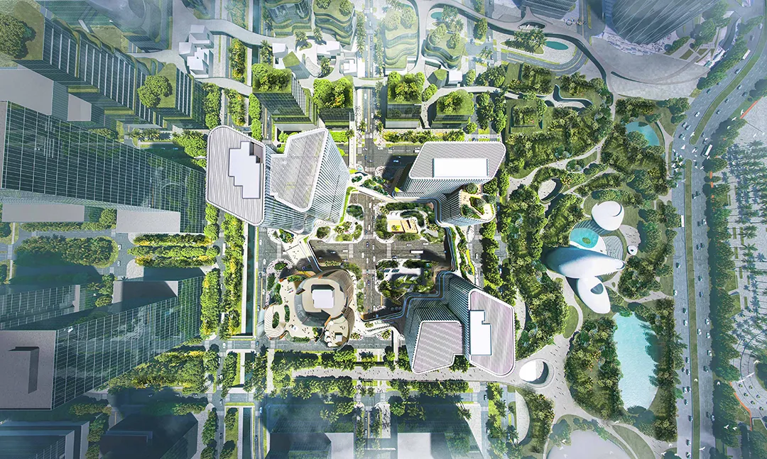 新闻配图 2
