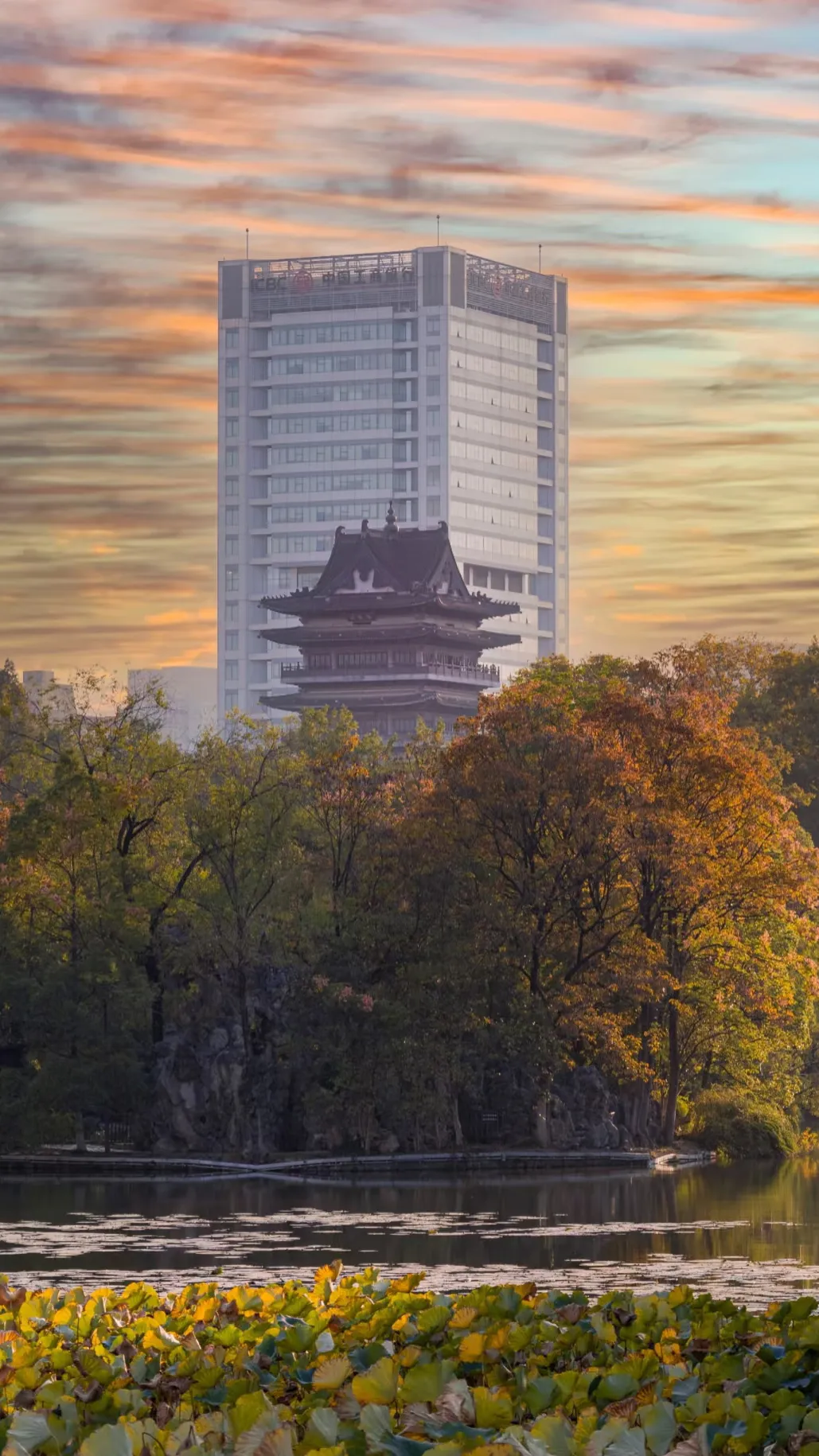 缩略图 3