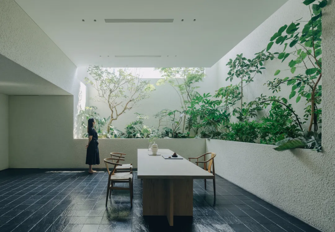 缩略图 2