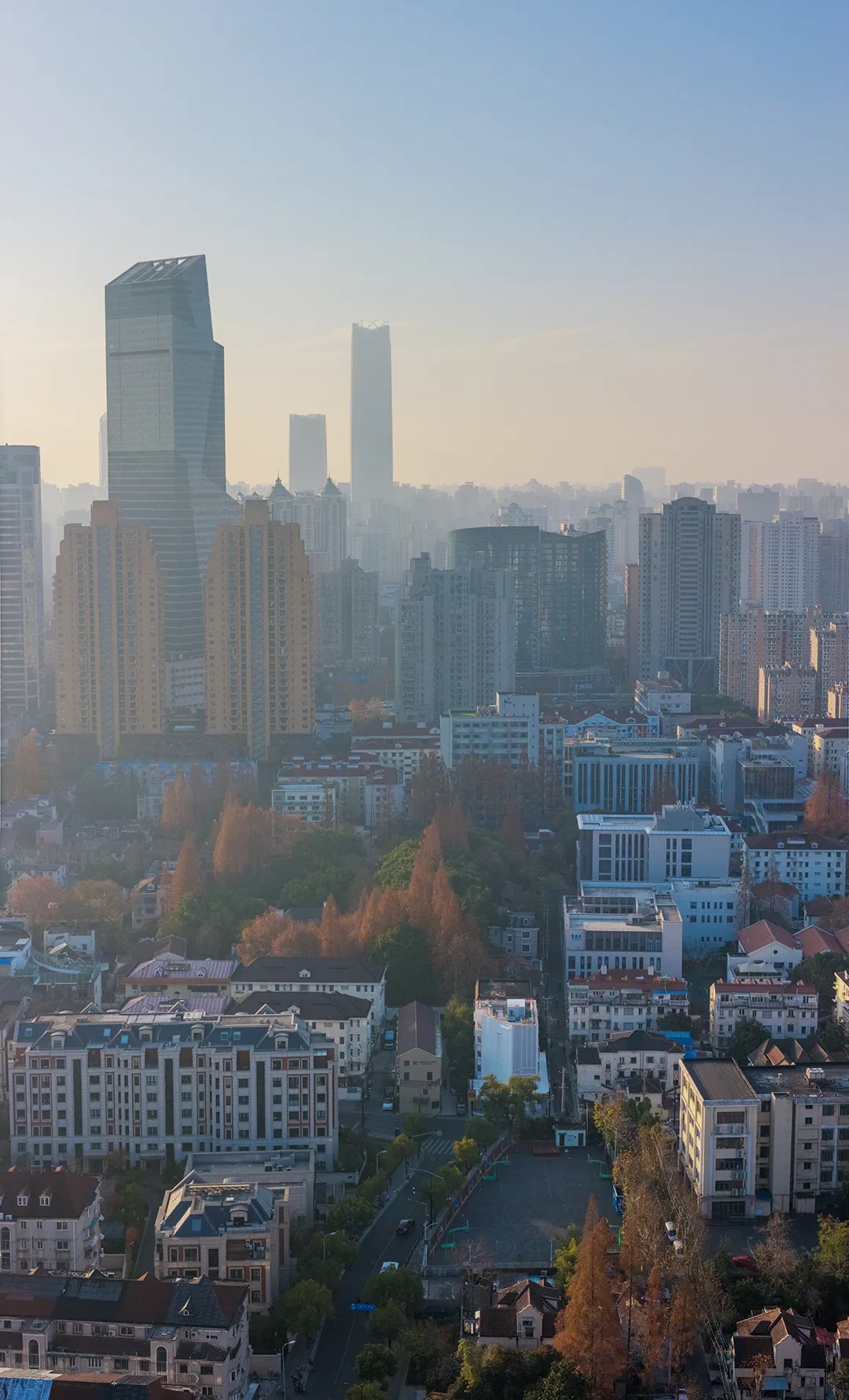新闻配图 4