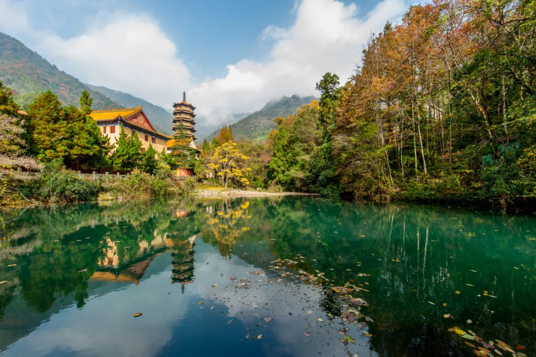天目山希尔顿格芮酒店，设计居然融了整座山 - 图片 4