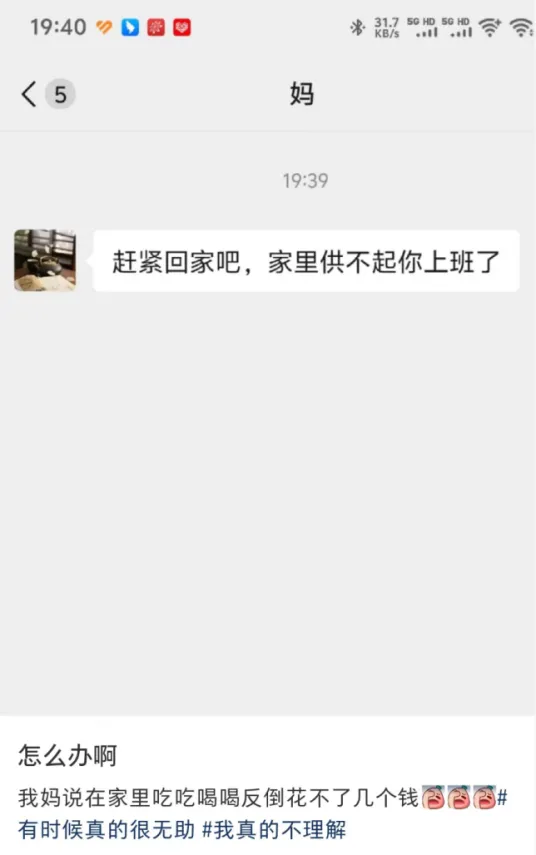 新闻配图 2