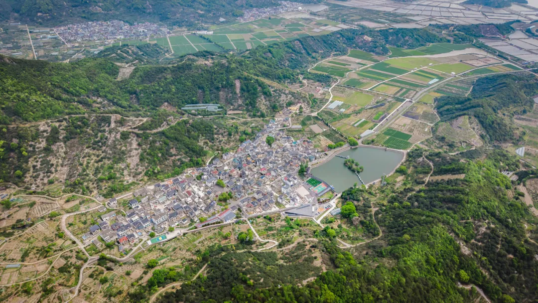 缩略图 3