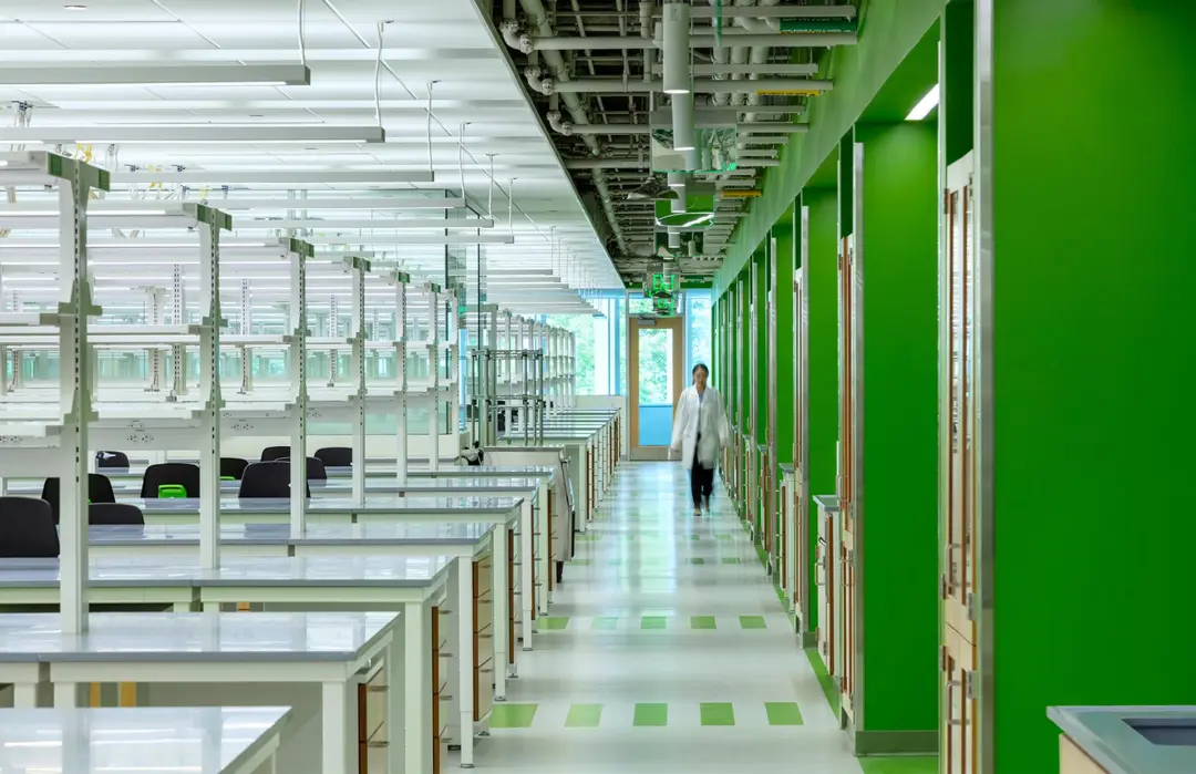 拉根研究所新址把三角形场地变成漂浮亲生物科研建筑 - 图片 8