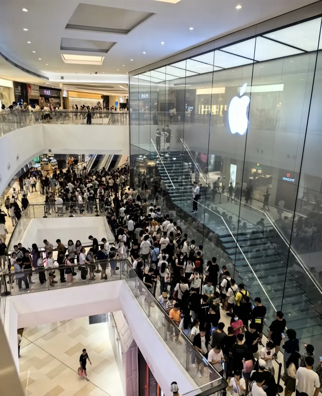 张馨予曝光 广州天环苹果店玻璃楼梯“走光”，引设计隐私争议 - 图片 6