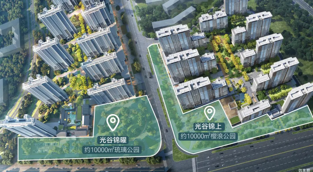 新闻配图 3