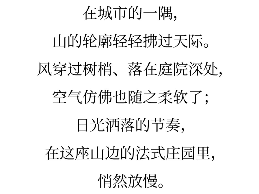 新闻配图 2