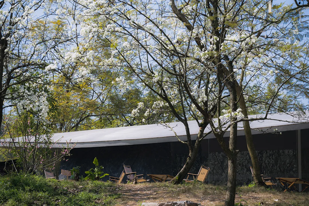 小隐建筑为泸州梨花村设计梨花瓣巨石自然联动空间 - 图片 9