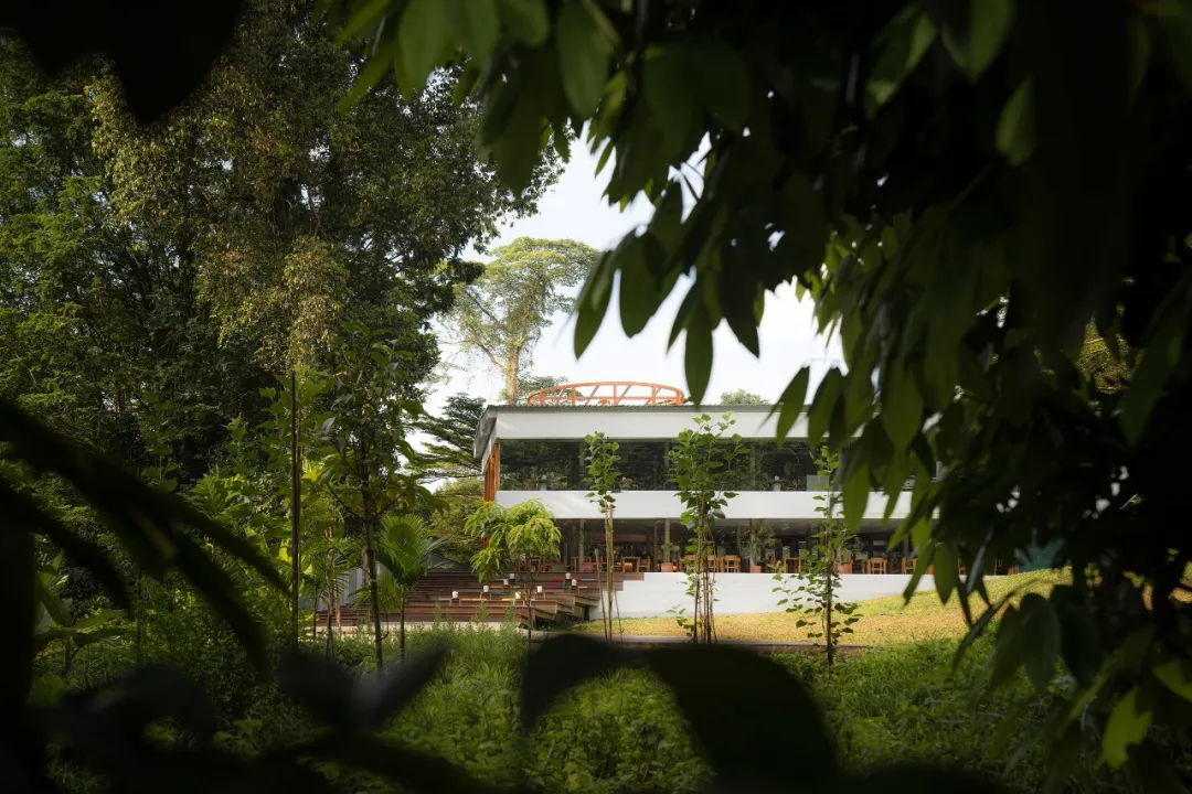 OMA新加坡AIR餐饮项目：留旧建筑自然造共享餐饮校园 - 图片 5