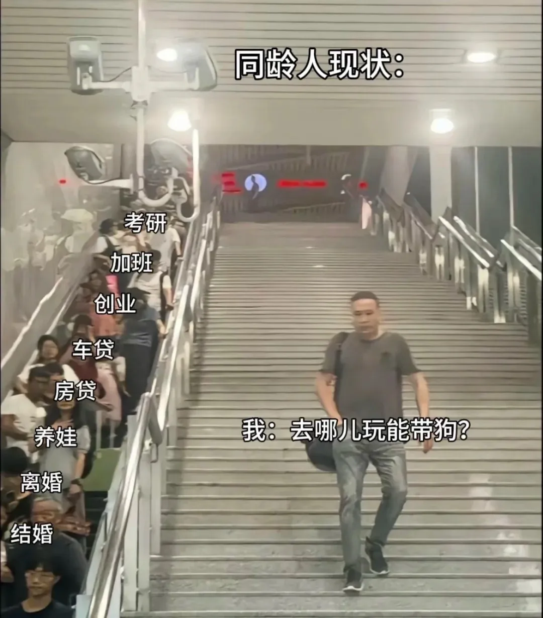 缩略图 2