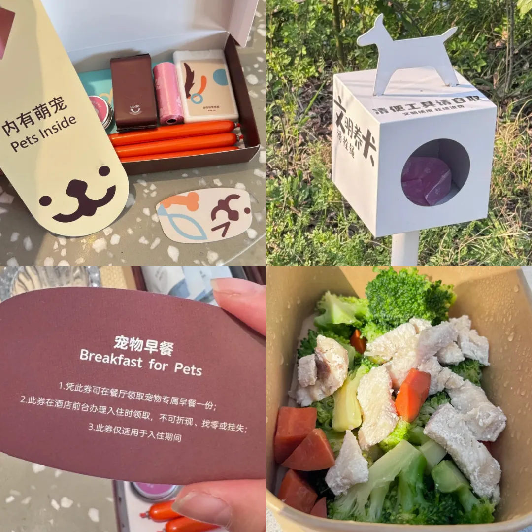 缩略图 4