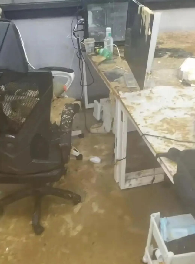 缩略图 2