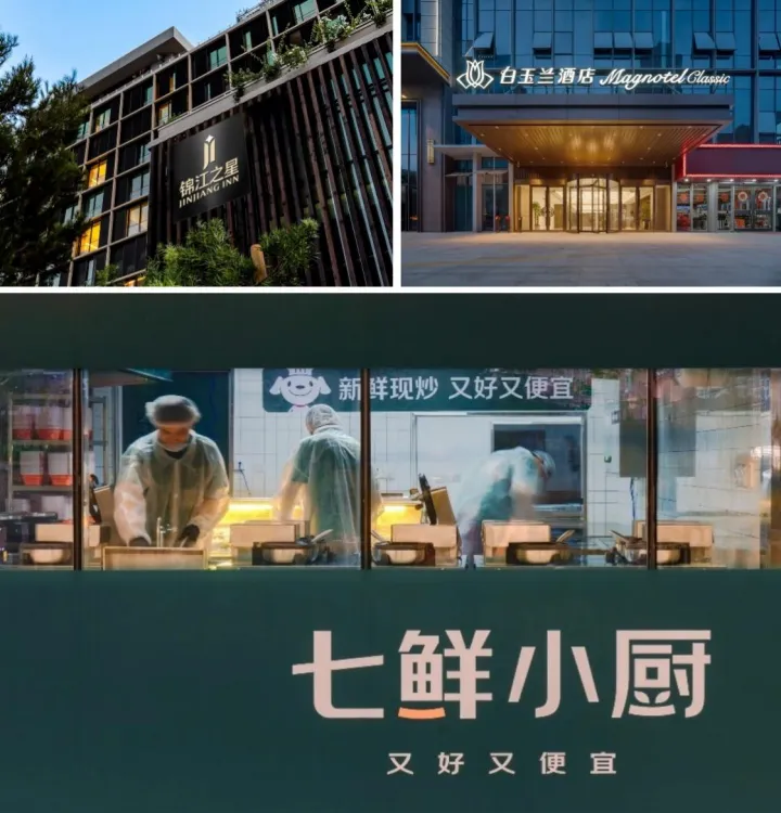 缩略图 4