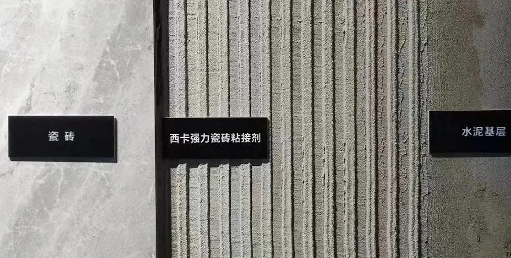 缩略图 3