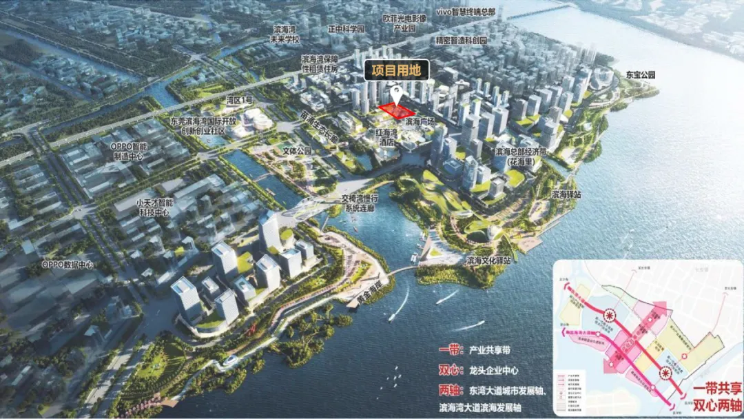 缩略图 3