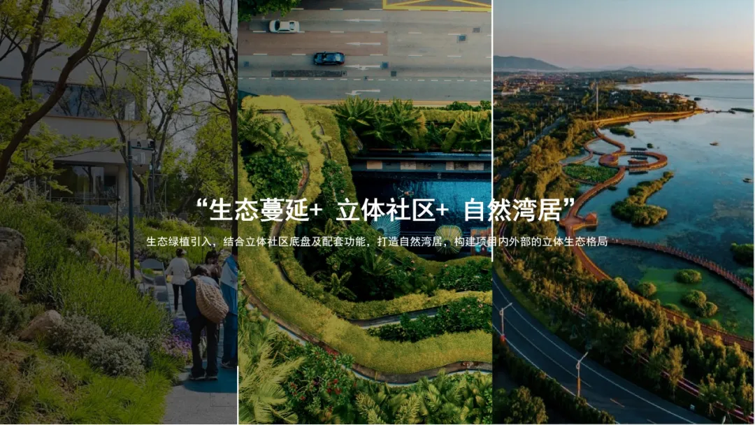 缩略图 4