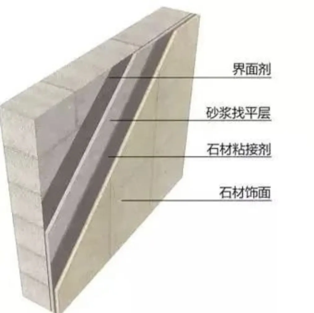 新闻配图 2