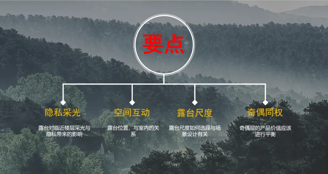 新闻配图 4