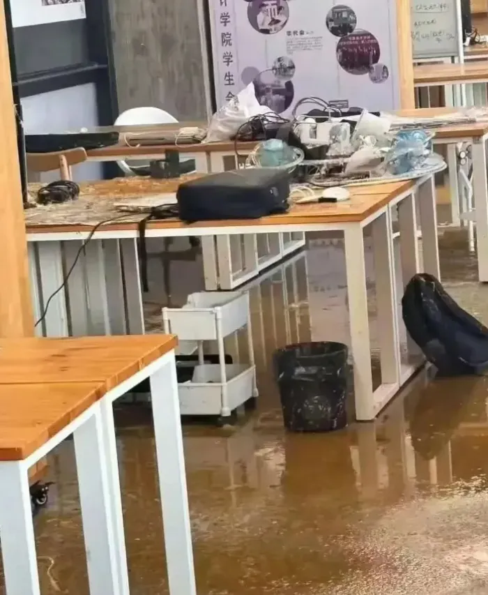 新闻配图 3